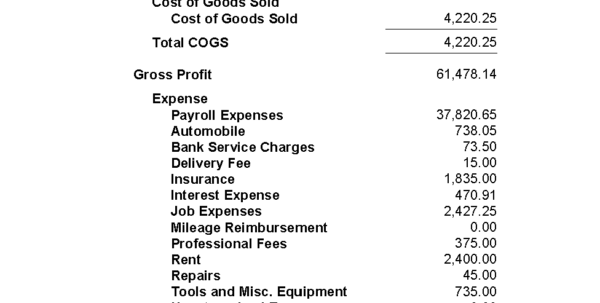 self employment profit and