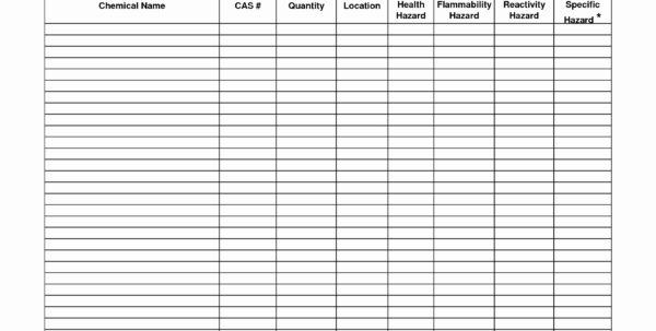 Printable Blank Inventory Spreadsheet Inventory Spreadshee Blank 4123