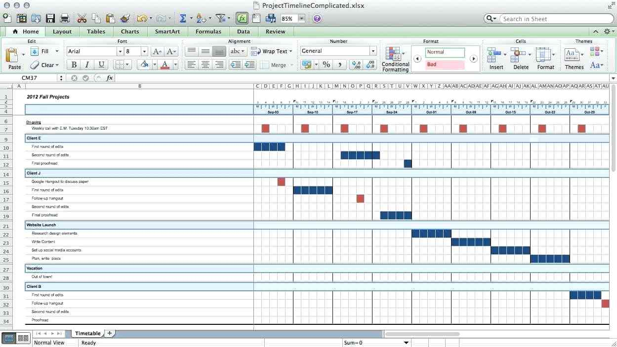 Project Management Timeline Template Word Timeline Spreadshee Project Management Timeline