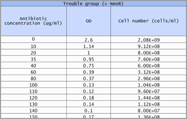 Antique Inventory Spreadsheet Google Spreadshee antique inventory