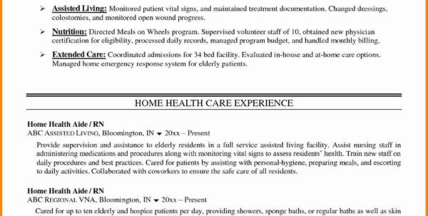 Assisted Living Budget Spreadsheet Spreadsheet Downloa Assisted Living 