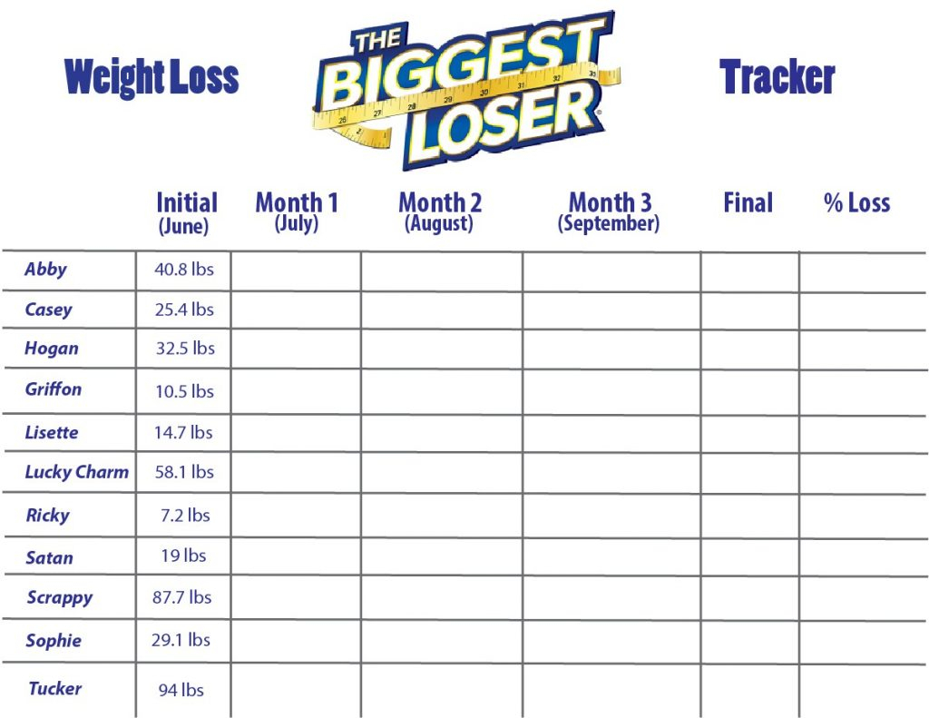 Biggest Loser Spreadsheet Printable Spreadshee biggest loser