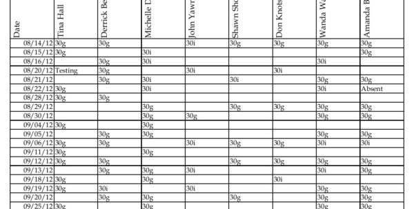 Caseload Spreadsheet Printable Spreadshee Iep Caseload Spreadsheet 