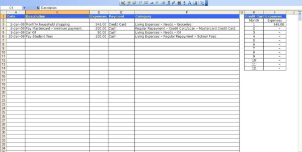 Credit Card Budget Spreadsheet Template Google Spreadshee credit card ...