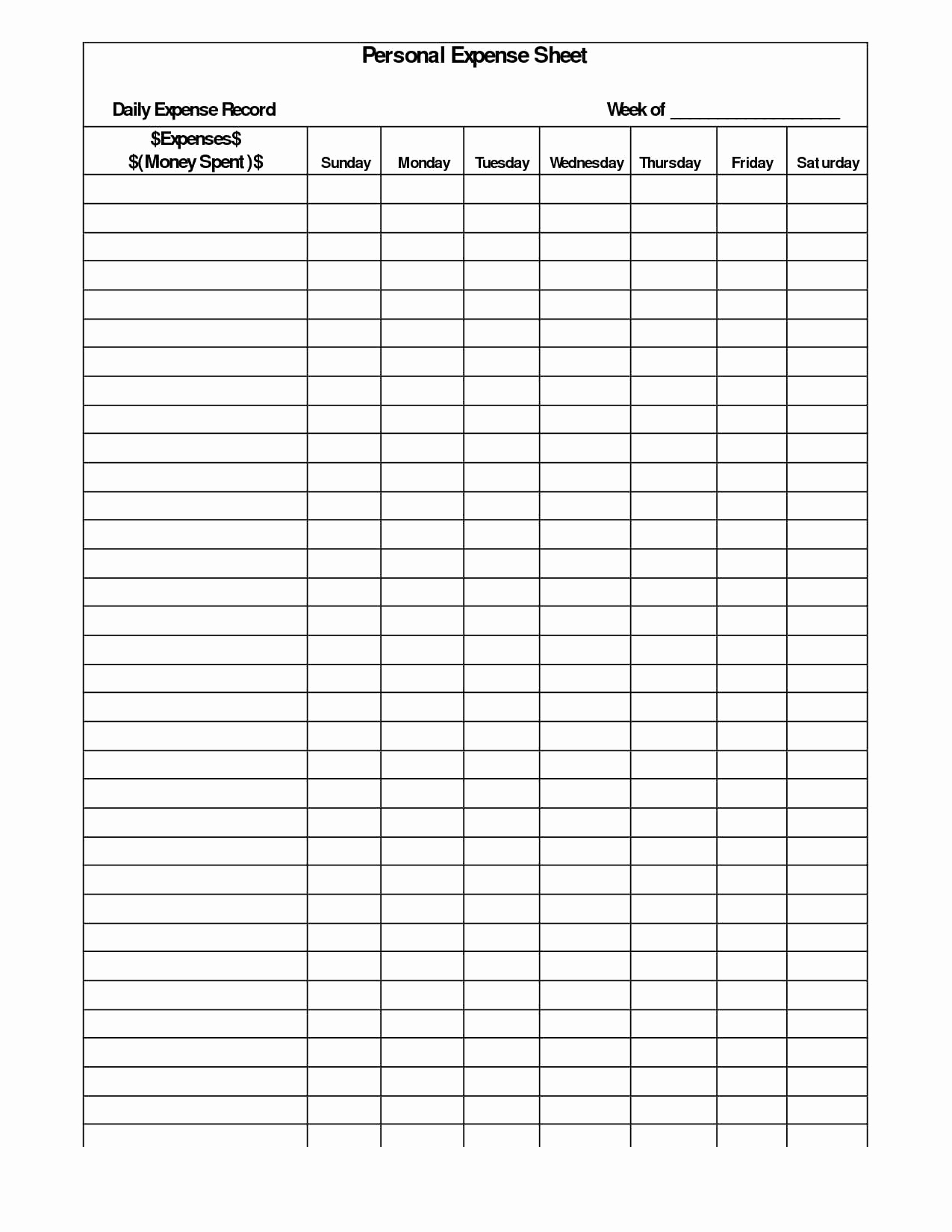 Daily Expense Tracker Spreadsheet Spreadsheet Downloa daily spending