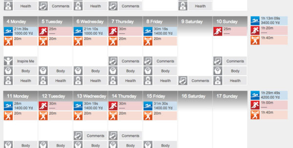 Excel Spreadsheet Workout Plan Google Spreadshee Microsoft Excel ...