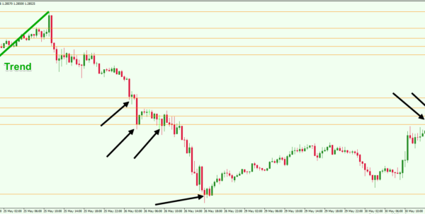 Forex fibonacci calculator