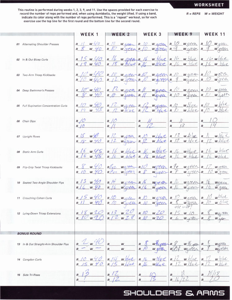 P90X Spreadsheet Google Docs Google Spreadshee p90x