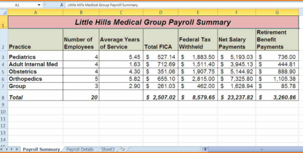 Payroll Spreadsheet Example Spreadsheet Downloa payroll ...