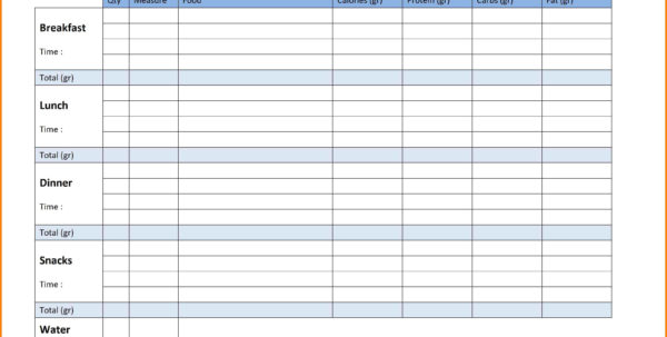 Slimming World Food Diary Spreadsheet Printable Spreadshee free ...