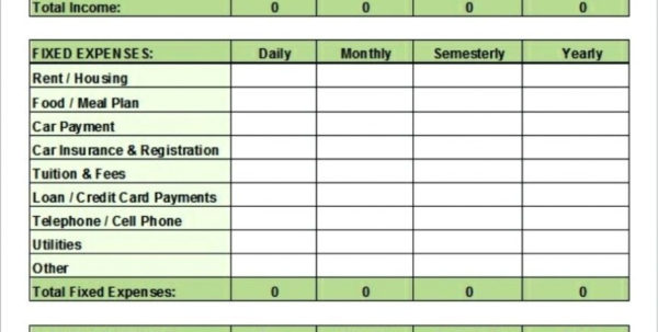 spreadsheet-ideas-for-students-payment-spreadshee-spreadsheet-ideas-for