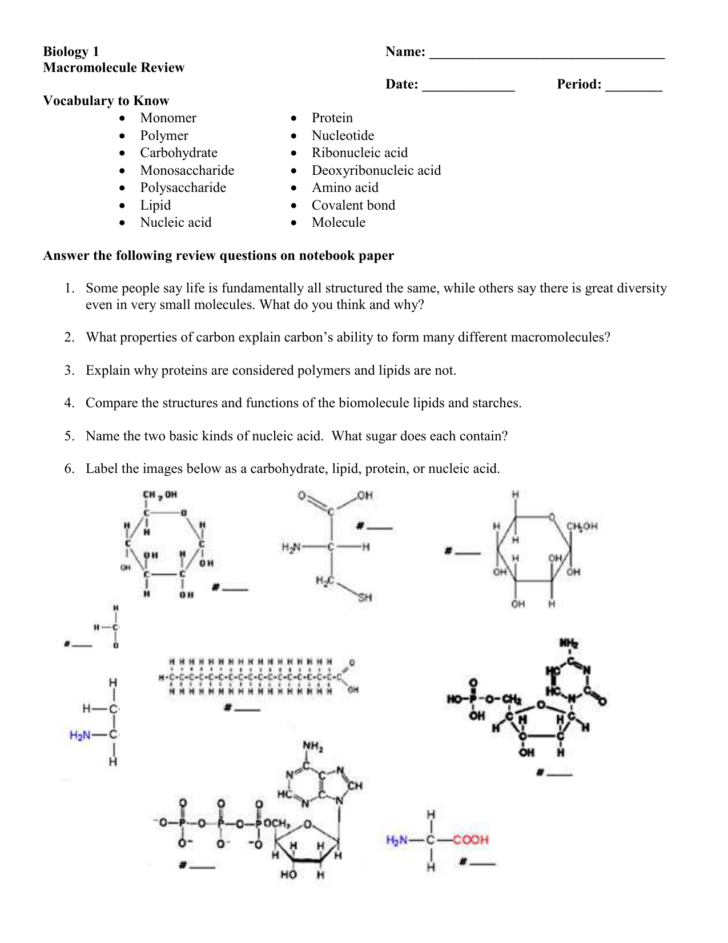 Biology Macromolecule Review Worksheet Db Excel