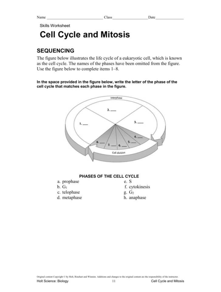 Mitosis And The Cell Cycle Worksheets