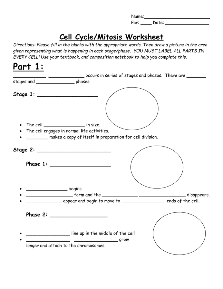 Cell Cycle And Mitosis Review Worksheet