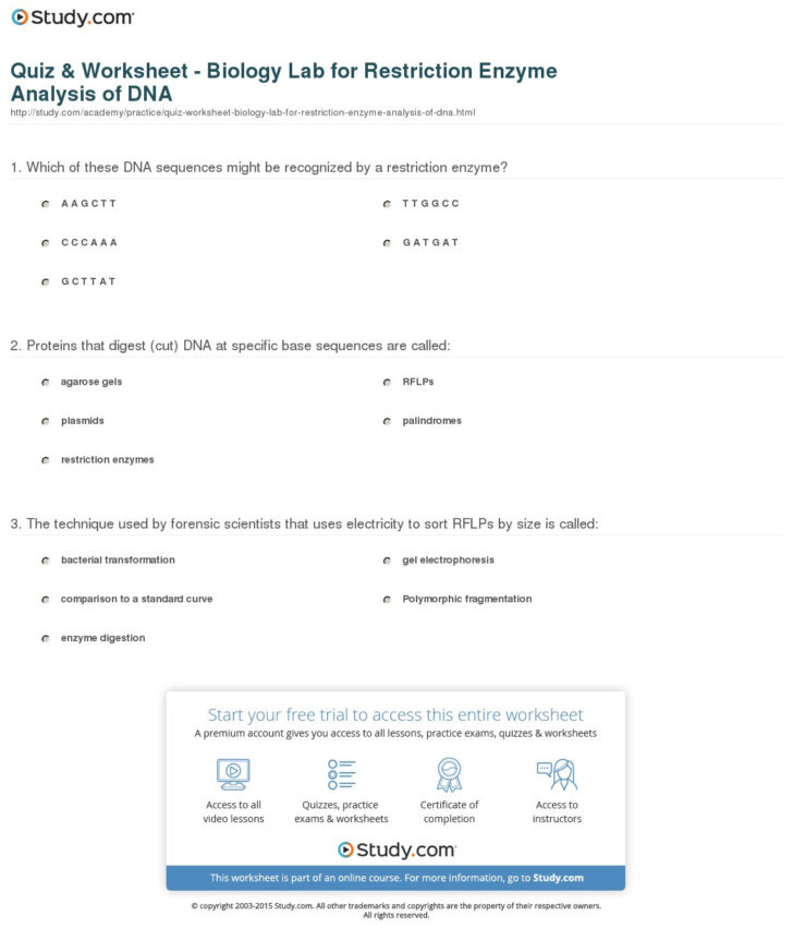 Enzyme Worksheet Biology Printable Math Worksheets Db Excel