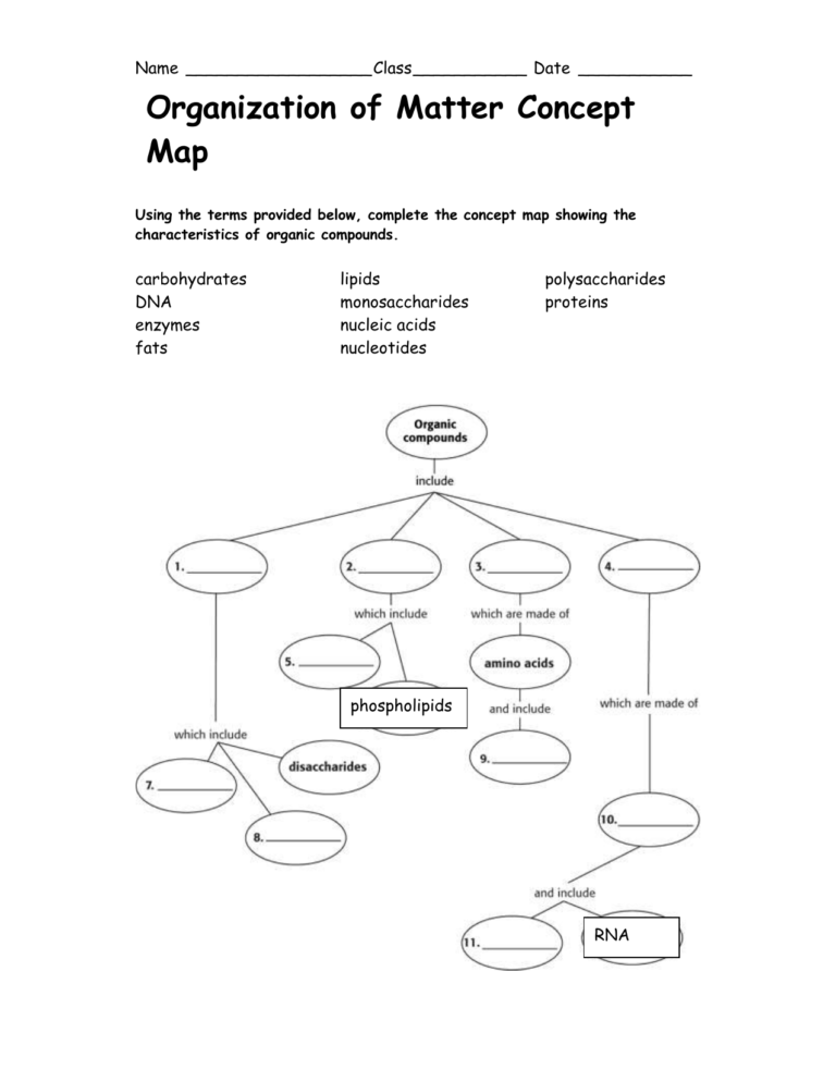 Biomolecules Concept Map Worksheet Db Excel