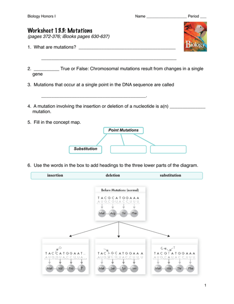 Mutations Worksheet Answer Key Pdf