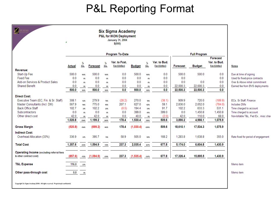 Profit And Loss Statement Template Excel 2007 1 Db excel