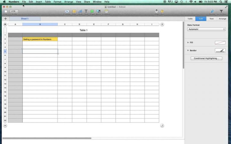how to put a password on excel spreadsheet