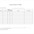Free Expense Report Form Pdf 3