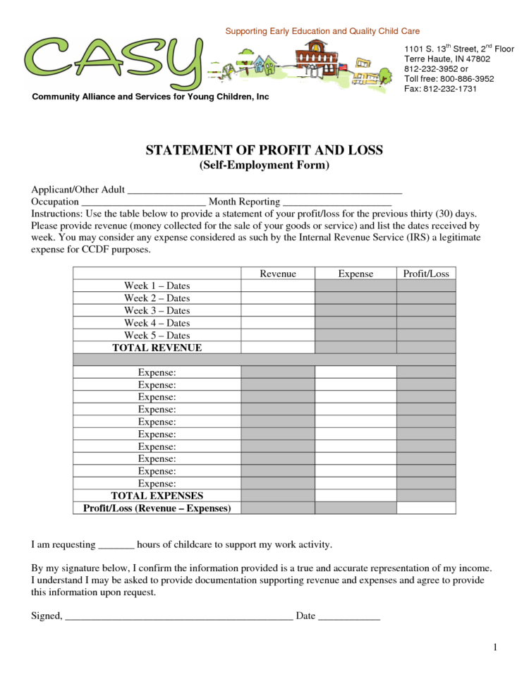 Profit And Loss Statement Form