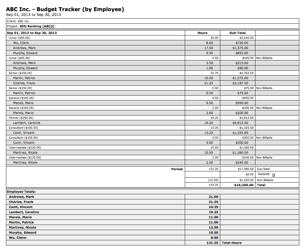 Project Budget Tracking Excel