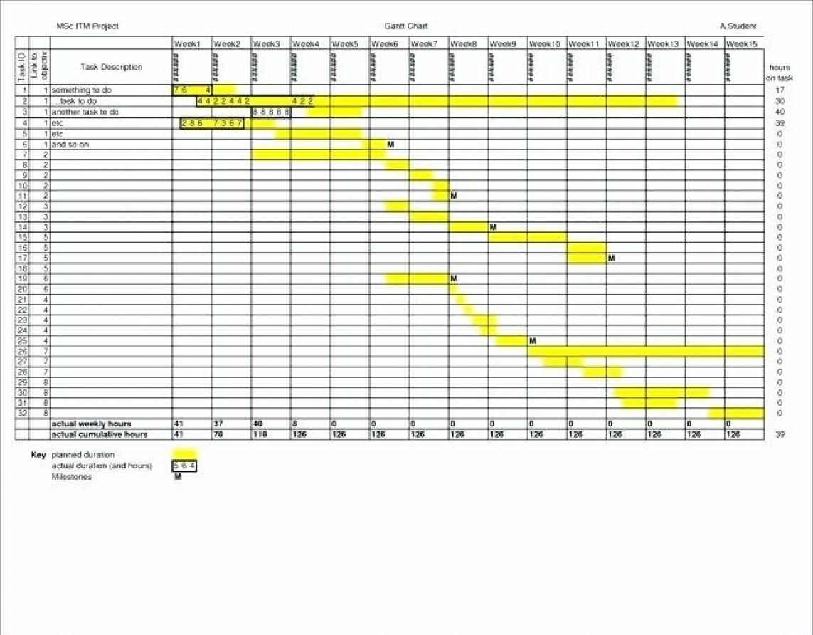 24 Hour Gantt Chart Template —