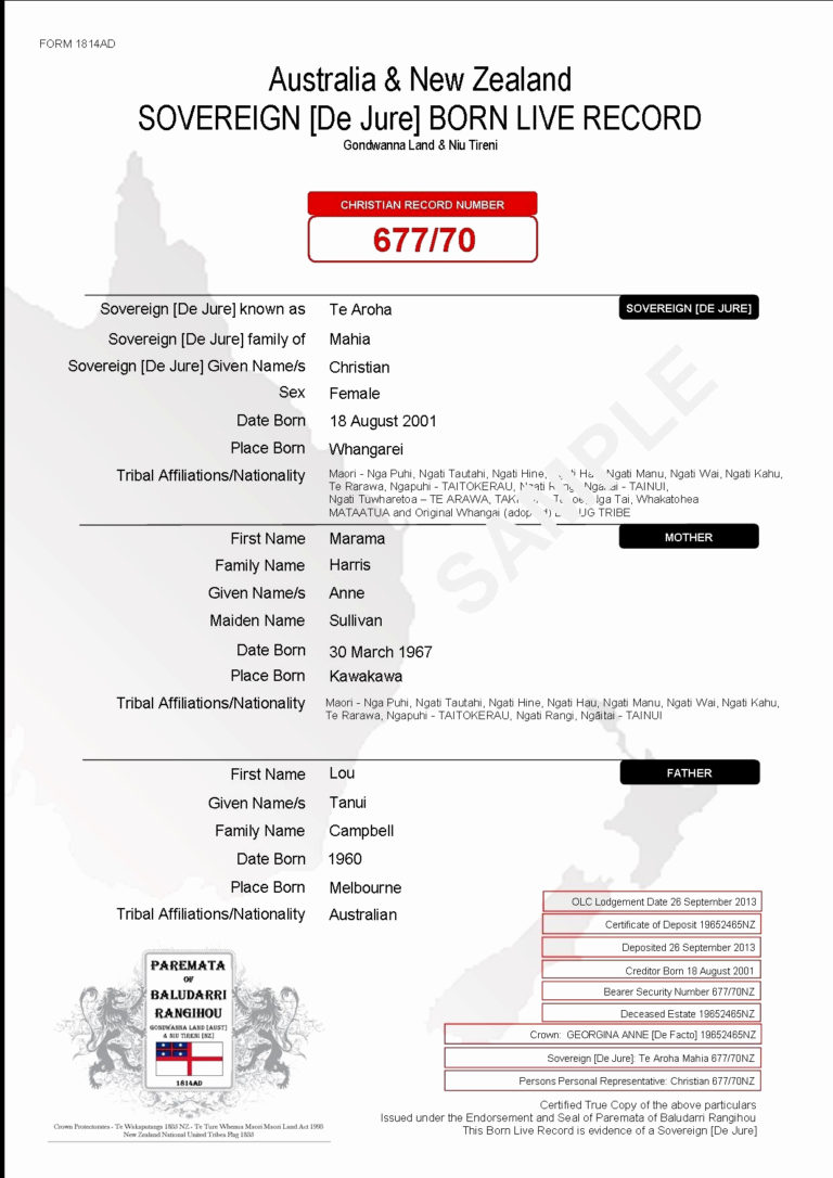 50 New Probate Accounting Template Excel Documents Ideas within