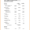 9 Non Profit Financial Statement Template Excel Carsell Best Of Within Income Statement Template Word