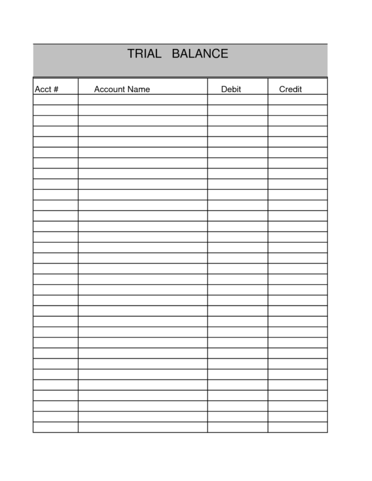Blank Accounting Trial Balance And Balance Sheet Template Sample Intended For Blank Accounting Spreadsheet