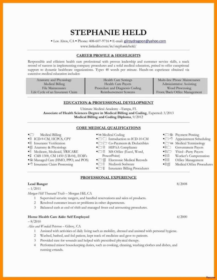 Bookkeeping Format In Excel 37 Elegant Insurance Resume Format With Bookkeeping With Excel 2010