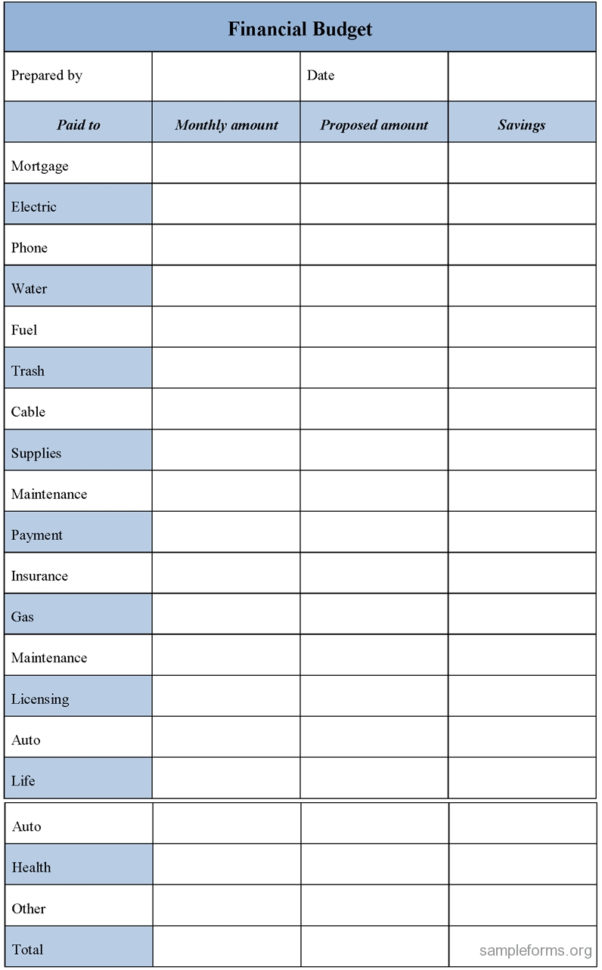Budget Sample Form Alannoscrapleftbehindco Throughout Budget Forms With Financial Budget Template Free