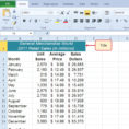 Definition Of Spreadsheet Software | Natural Buff Dog In Spreadsheet Definition