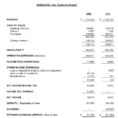 Example Of Financial Statement Filename | Chrysler Affilites With Financial Statements Templates