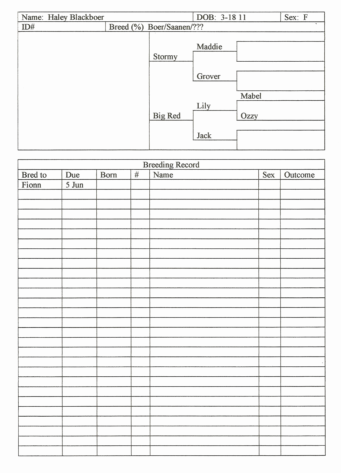 raffle-recordkeeping-forms-and-instructions-free-download