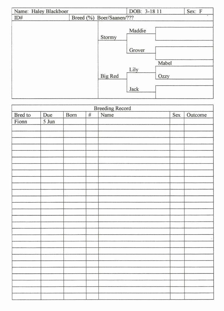 Free Farm Bookkeeping Spreadsheet — Db 5370