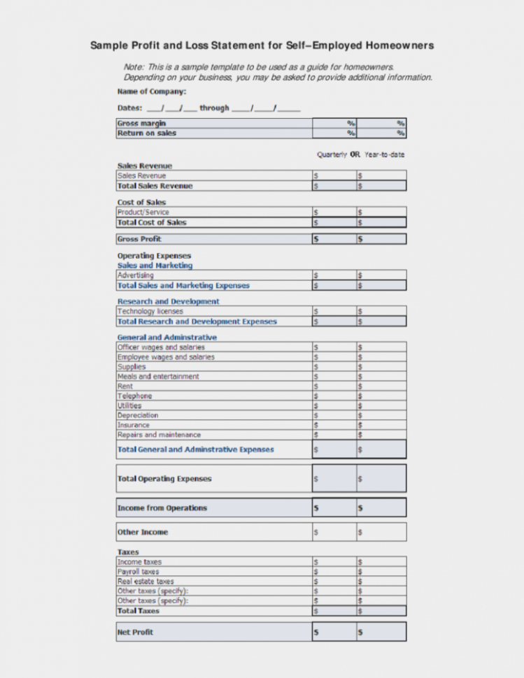 Financial Statement Form Sample Balance Sheet And Income Template And Quarterly Profit And Loss Statement Template