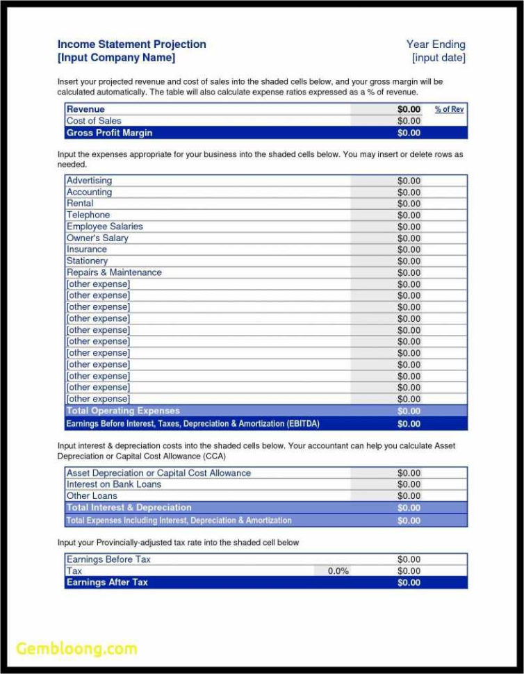 Financial Statement Template For Small Business Lovely Monthly Inside Sample Income Statement For Small Business