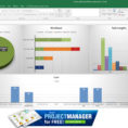 Guide To Excel Project Management   Projectmanager And Project Management Worksheet Template