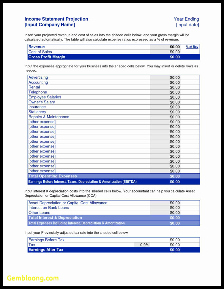 Income And Expense Statement Excel Best Of Small Business Balance For Income And Expense Statement Template