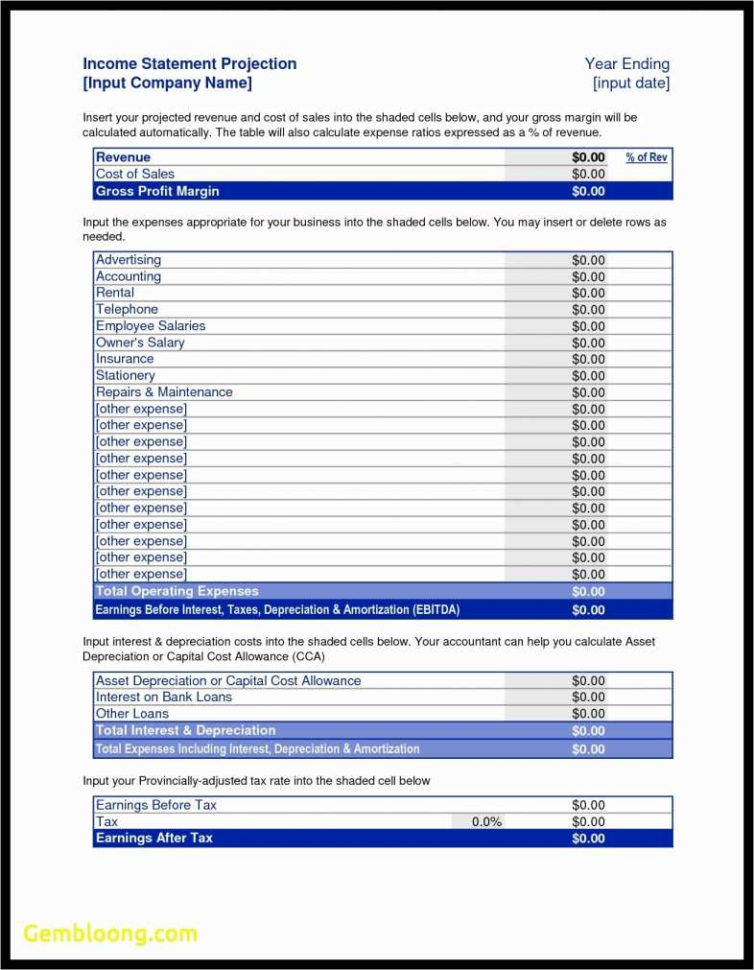 Personal Income Statement Template Excel Best Projected Financial Inside Income Statement Template Excel