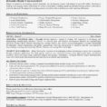 Project Management Resume Elegant Reference Marketing Resumes Intended For Project Management Templates Pdf