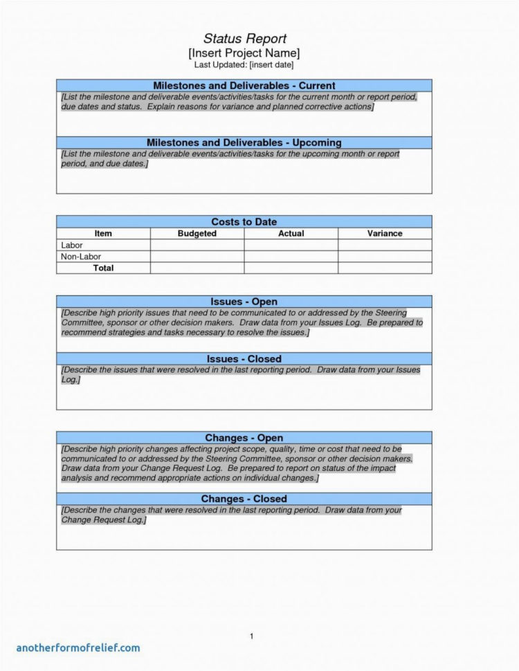 Project Management Status Report Template Free Templates Inside Project Management Templates Word