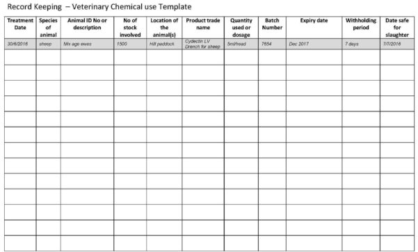 Record Keeping Template For Small Business And Bookkeeping Records ...