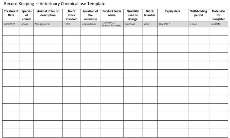 daily bookkeeping template