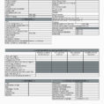 Steinberg Individuals Elegant Certificate Conformance Template Excel With Excel Cash Flow Template