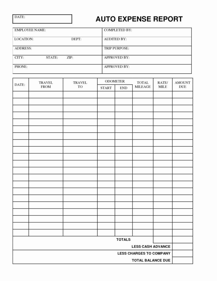 Business Expense Log Template Unique Business Expenses Form Template Inside Business Expenses Form Template