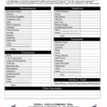 Business Expense Spreadsheet For Taxes On Debt Snowball Spreadsheet Throughout Tax Spreadsheets