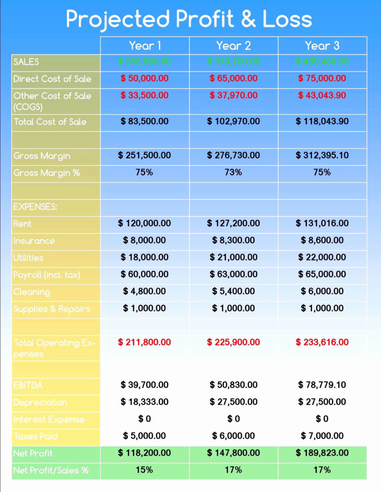 Business Plan Financial Template Awesome Template 12 Month Profit Inside Business Plan Financial Template