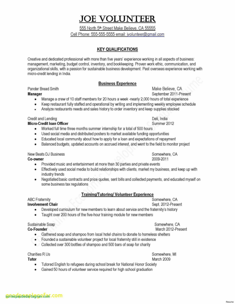 Business Registration Form Template 2018 Resume Timeline Template Within Business Registration Application Form